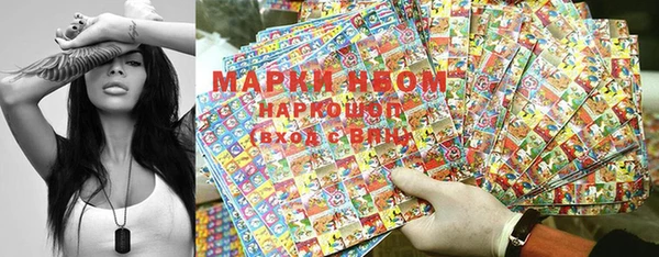 apvp Алзамай